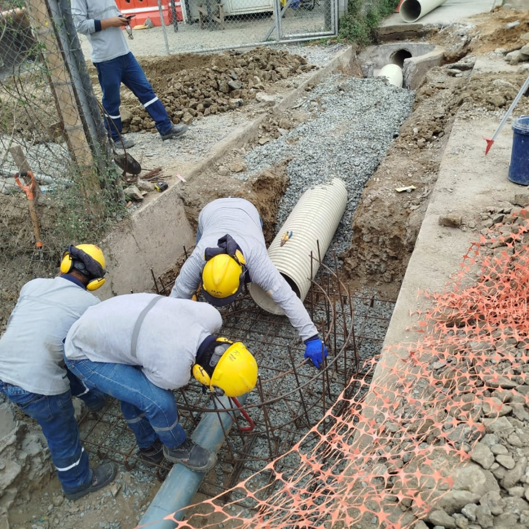 Network Restoration